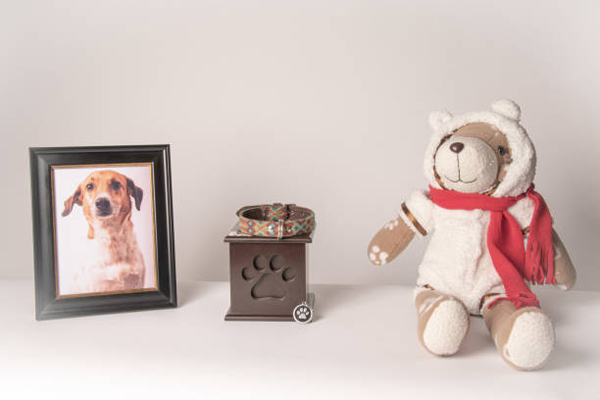 Pet Cremation Services Pet Cremation Services